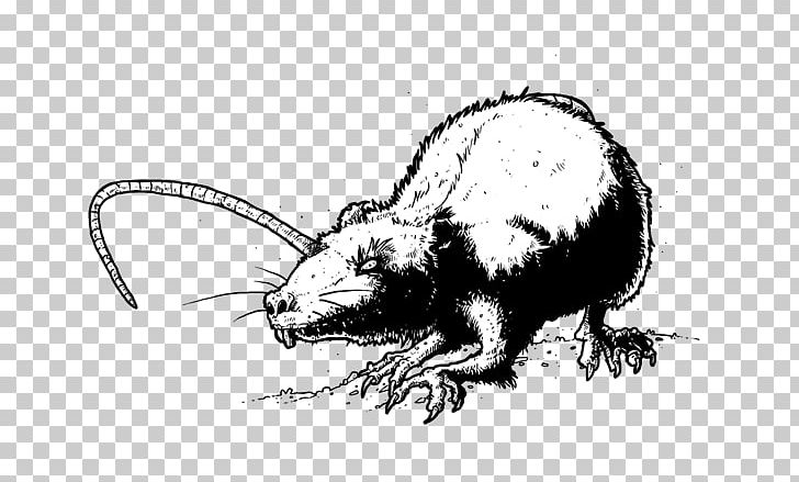 Rat Mouse Whiskers Beaver Cat PNG, Clipart, Animals, Animaux, Artwork, Carnivoran, Cartoon Free PNG Download