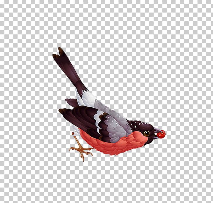 Bird Graphics Illustration PNG, Clipart, Animals, Art, Beak, Bird, Casuariiformes Free PNG Download