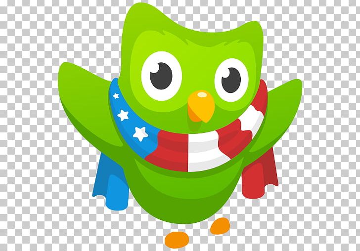 Learning Duolingo Scottish Gaelic Language PNG, Clipart, Aptoide, Beak, Bird, Duolingo, Education Free PNG Download
