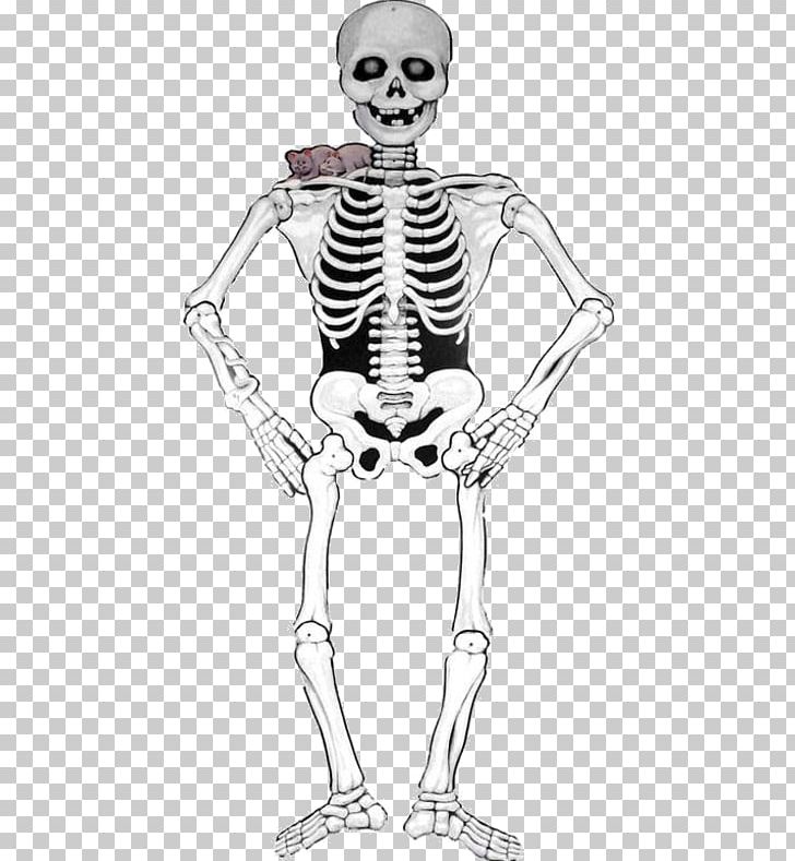 Skeleton Halloween Smiffys Carnival Paper PNG, Clipart, Arm, Art, Carnival, Costume, Costume Design Free PNG Download
