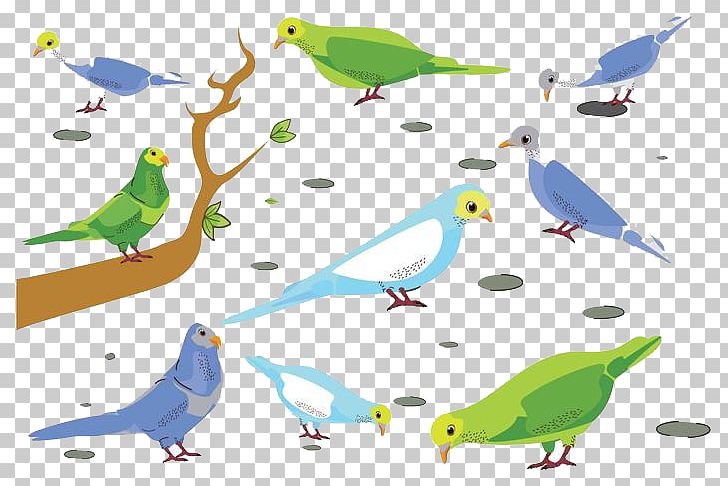 Budgerigar Parrot Bird PNG, Clipart, Animals, Area, Beak, Bird Cage, Birds Free PNG Download