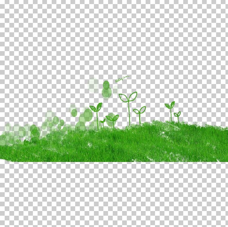 Lawn PNG, Clipart, Clip Art, Download, Drawing, Grass, Green Free PNG Download