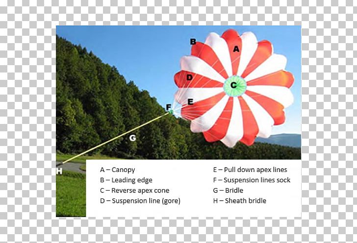 Parachute Parachuting Paragliding Free Fall Advertising PNG, Clipart, Advertising, Ecosystem, Energy, Free Fall, Grass Free PNG Download