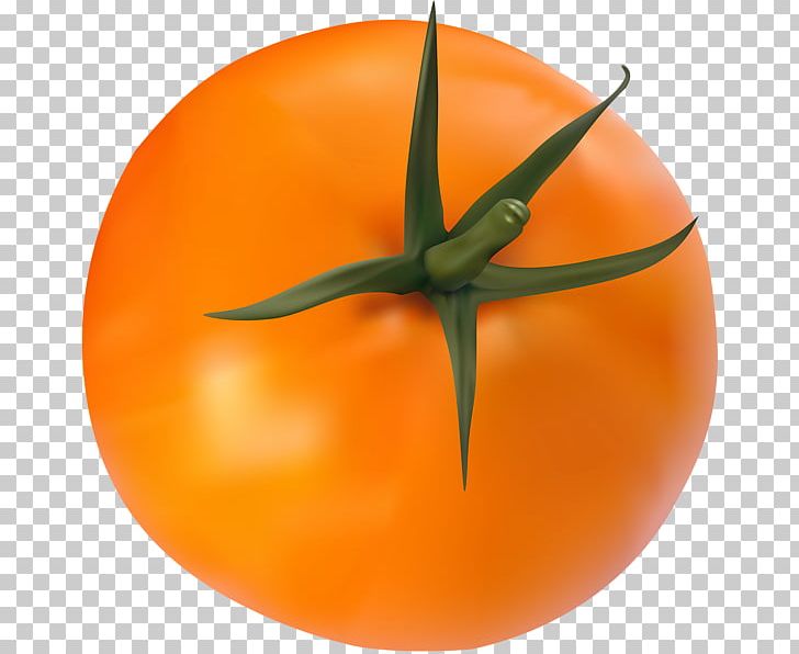 Tomato Vegetable PNG, Clipart, 2018, Calabaza, Cucumber, Download, Food Free PNG Download