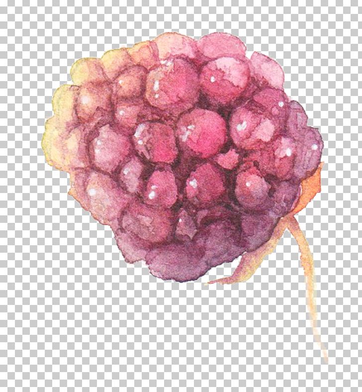 Watercolor Painting Grape PNG, Clipart, Berry, Designer, Download, Food, Fruit Free PNG Download