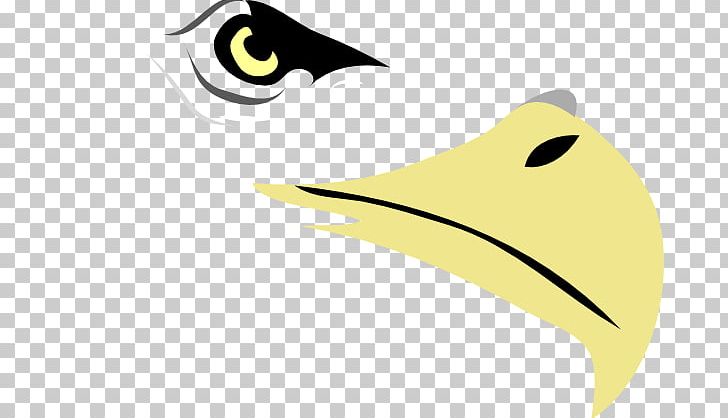 Bald Eagle Eagle Eye PNG, Clipart, Bald Eagle, Beak, Bird, Clip Art, Drawing Free PNG Download