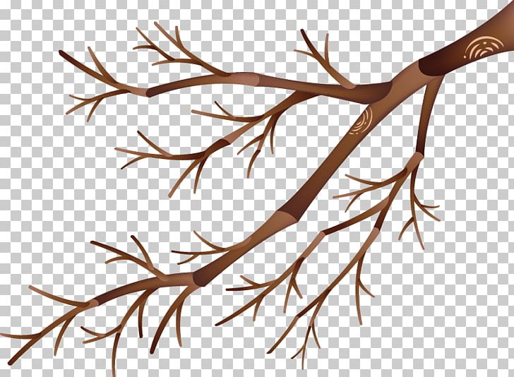 Twig Branch PNG, Clipart, Branch, Branches, Computer Icons, Decorative Patterns, Encapsulated Postscript Free PNG Download