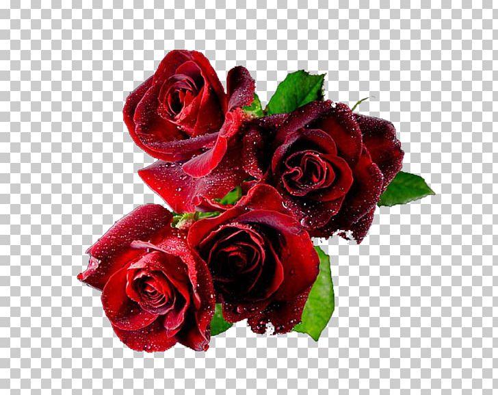 Valentine's Day Desktop Animation PNG, Clipart, Animation, Cut Flowers, Desktop Wallpaper, Floral Design, Floribunda Free PNG Download