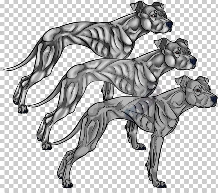 American Pit Bull Terrier Line Art Drawing PNG, Clipart, American Pit Bull Terrier, Animal, Art, Big Cats, Black And White Free PNG Download