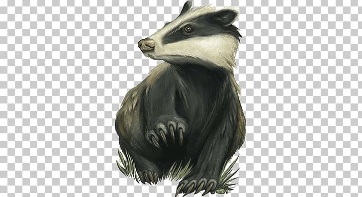 Badger PNG, Clipart, Badger Free PNG Download