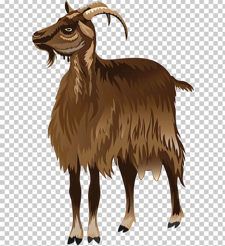 Barbary Sheep Sheep–goat Hybrid Argali PNG, Clipart, Argali, Barbary Sheep, Beak, Camel Like Mammal, Cattle Like Mammal Free PNG Download