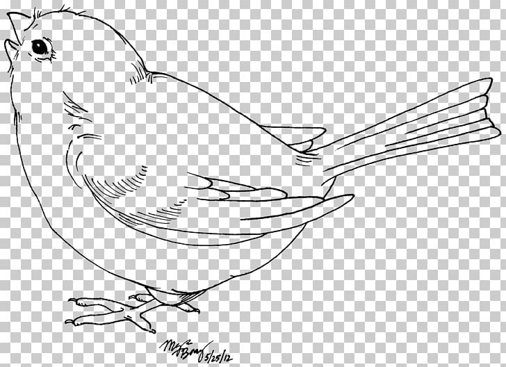 Bird Drawing Black And White PNG, Clipart, Angle, Animals, Area, Art, Artwork Free PNG Download
