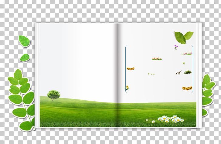 Book PNG, Clipart, Background Green, Bladzijde, Book, Book Cover, Books Free PNG Download