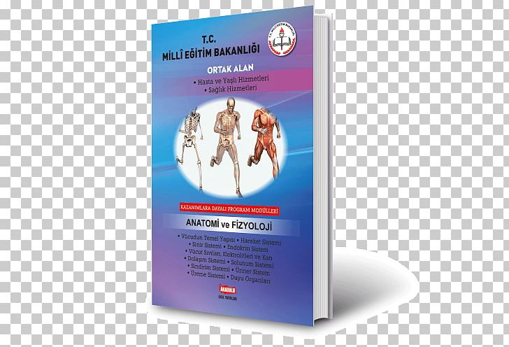 Calligraphy Human Body Homo Sapiens Text Book PNG, Clipart, Advertising, Anatomi, Body, Book, Brochure Free PNG Download