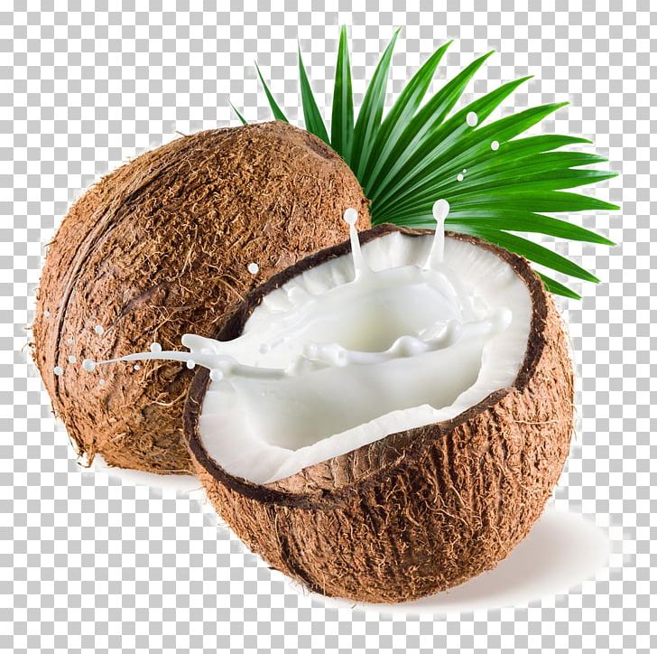 Coconut Milk Powder Coconut Water PNG, Clipart, Coconut Leaves, Coconut Milk, Coconut Oil, Coconut Tree, Concentrate Free PNG Download