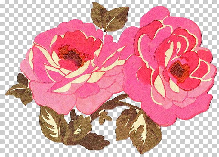 Garden Roses Cabbage Rose Floral Design Valentine's Day Cut Flowers PNG, Clipart,  Free PNG Download