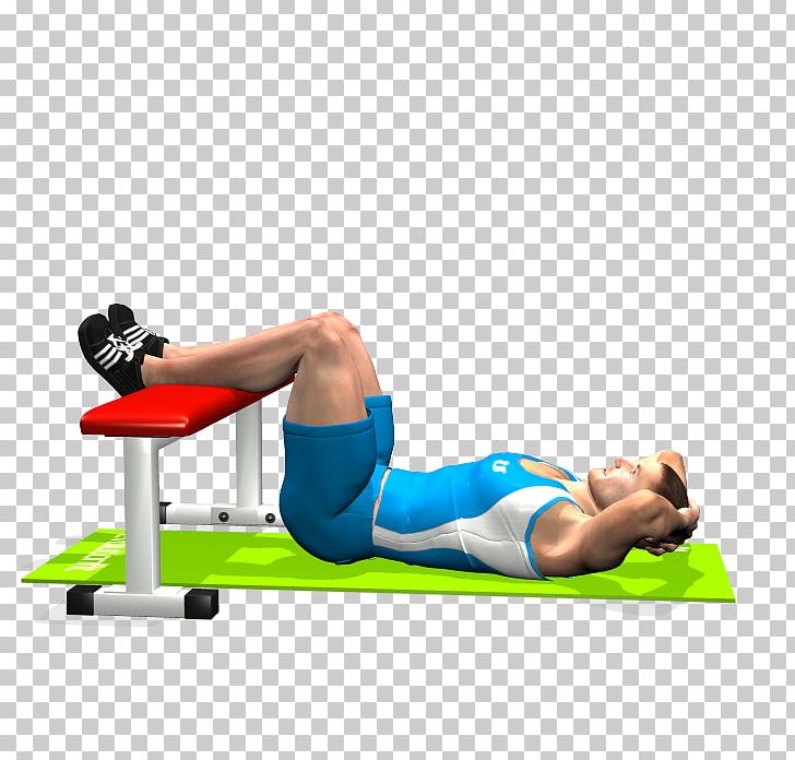 Shoulder Rectus Abdominis Muscle Abdomen Crunch Exercise PNG, Clipart,  Free PNG Download
