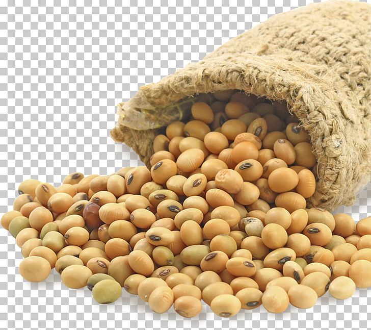 Soybean Food Price United States Dollar Bushel PNG, Clipart, Bean, Beans, Broad Bean, Bushel, Commodity Free PNG Download