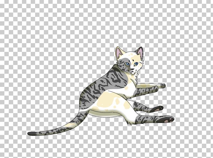 Tabby Cat Drawing Ivypool PNG, Clipart, Animal, Animals, Art, Artist, Carnivoran Free PNG Download