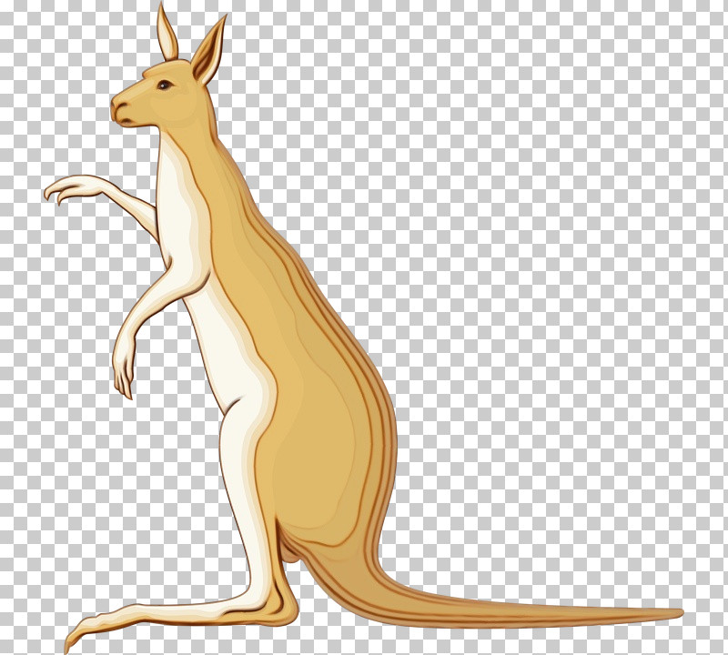 Macropods Kangaroo Hares Marsupials Tail PNG, Clipart, Animal Figurine, Cartoon, Kangaroo, Macropods, Marsupials Free PNG Download