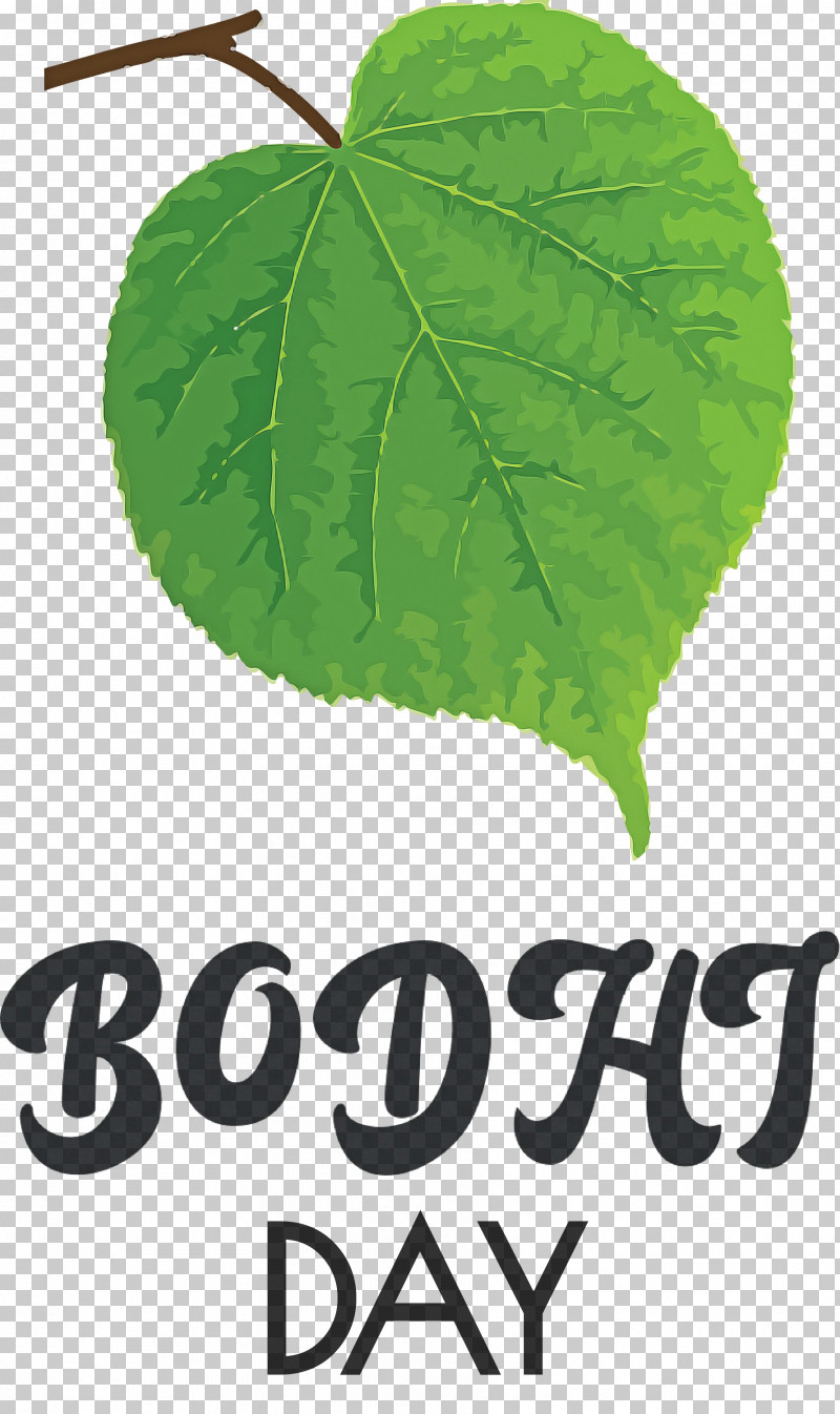 Bodhi Day Bodhi PNG, Clipart, Biology, Bodhi, Bodhi Day, Green, Leaf Free PNG Download