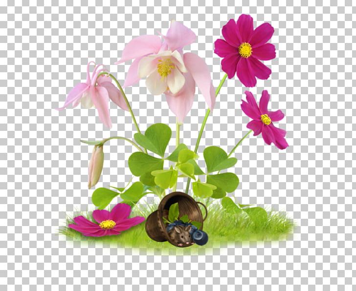 Easter Desktop PNG, Clipart, Collage, Desktop Wallpaper, Easter, Flora, Floral Design Free PNG Download