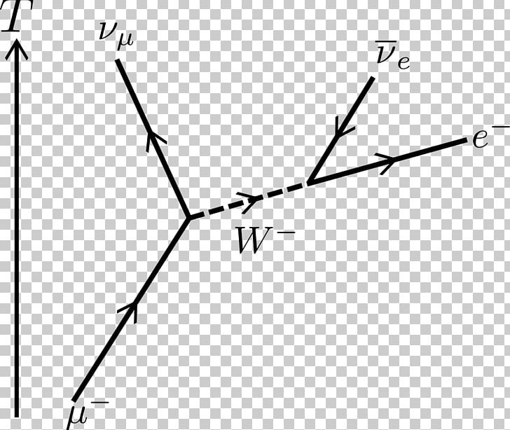 Muon Feynman Diagram Lepton Subatomic Particle PNG, Clipart, Angle, Area, Black And White, Boson, Branch Free PNG Download