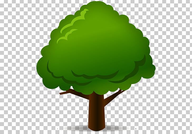 Tree Leaf Deciduous Evergreen Emoji PNG, Clipart, Arecaceae, Autumn, Christmas Tree, Deciduous, Emoji Free PNG Download
