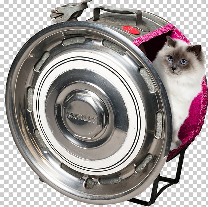 Car Cat Bentley Furniture Room PNG, Clipart, Animal Furniture, Automobile Repair Shop, Automotive Tire, Automotive Wheel System, Automotive Window Part Free PNG Download