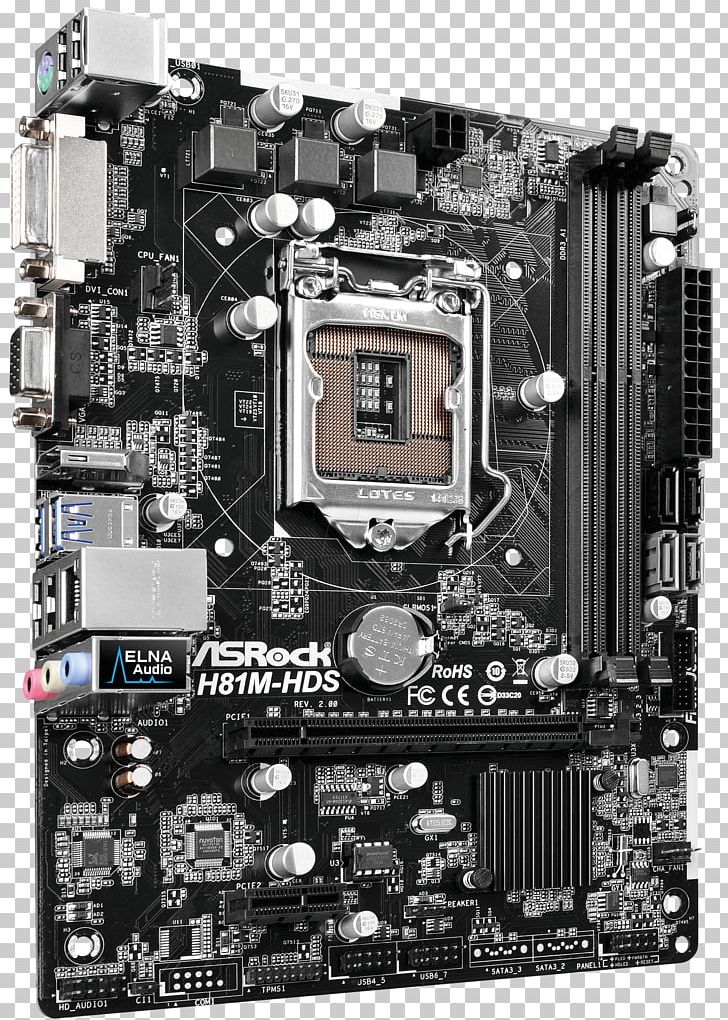 Motherboard LGA 1150 MicroATX CPU Socket ASRock H81M-HDS PNG, Clipart, Asrock H 81, Asus, Atx, Chipset, Computer Free PNG Download