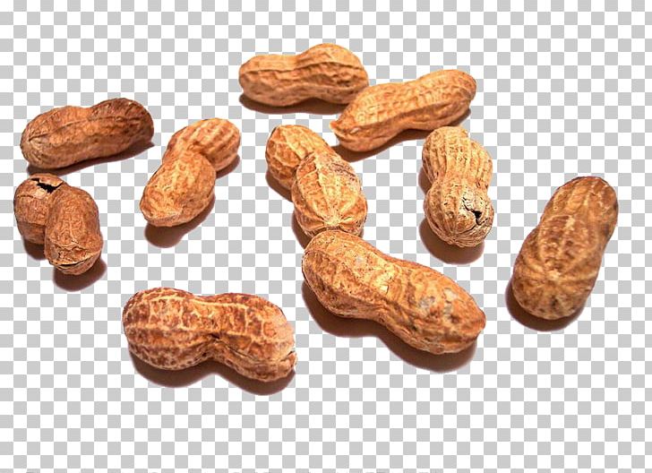 Peanut Allergy PNG, Clipart, Disease, Euclidean Vector, Food, Health, Ingredient Free PNG Download