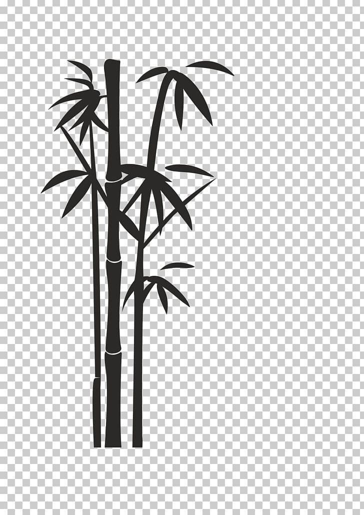 Bamboo PNG, Clipart, Bamboo Free PNG Download