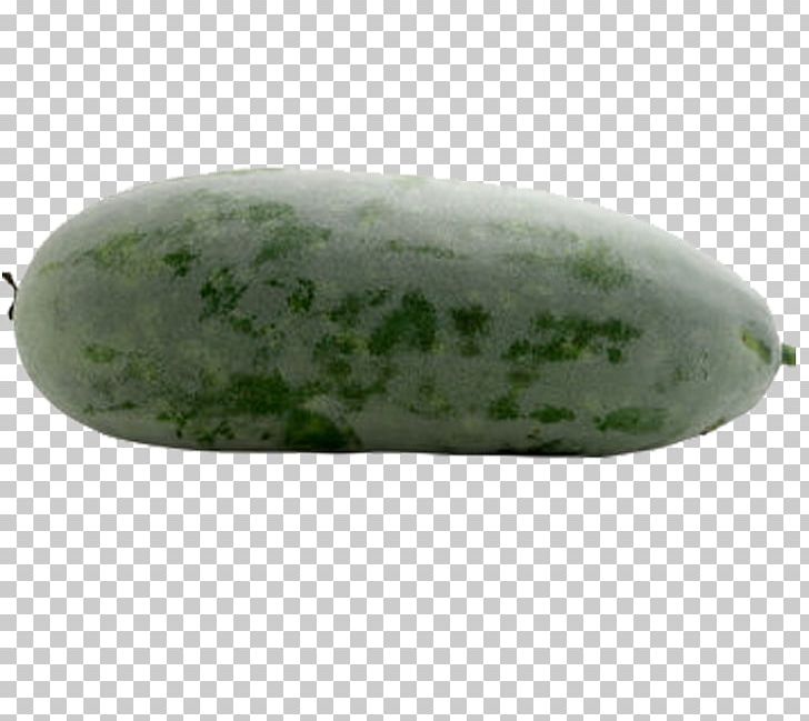 Cucumber Wax Gourd Melon PNG, Clipart, Bitter Melon, Cucumber, Cucumber Gourd And Melon Family, Cucumis, Delicious Melon Free PNG Download