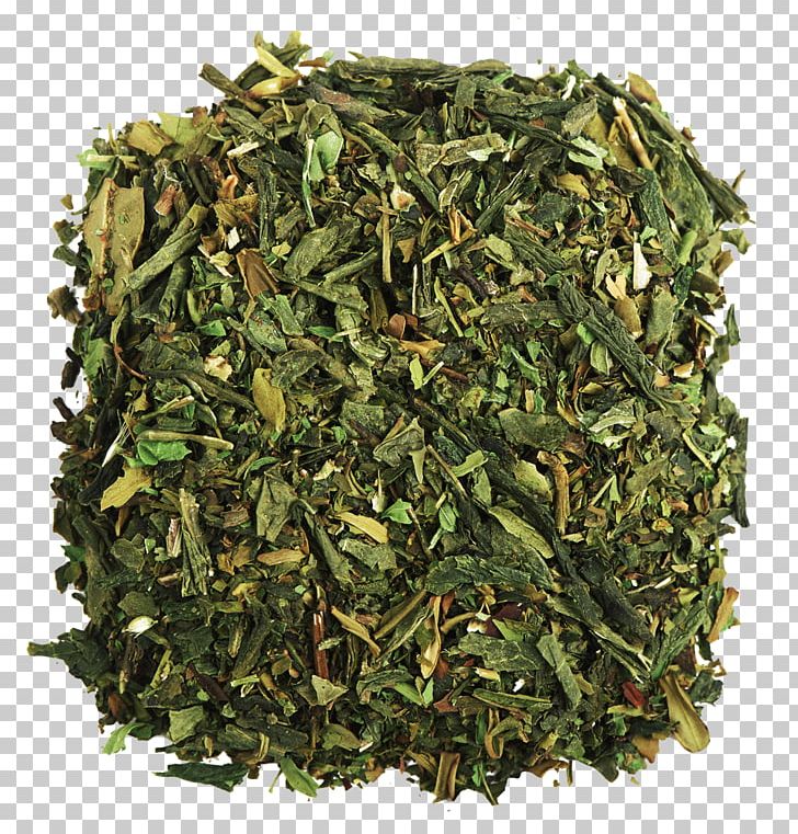 Green Tea Pu'er Tea Teaware Tea Plant PNG, Clipart,  Free PNG Download