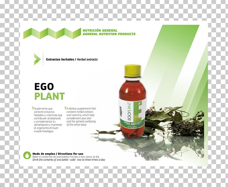 Dietary Supplement Grupo Omnilife Plant Nutrition Mexico City PNG, Clipart, Advertising, Brand, Carbohydrate, Celebrity, Dietary Supplement Free PNG Download