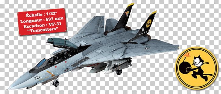 Grumman F-14 Tomcat Apache Tomcat Scale Models Hypertext Transfer Protocol PNG, Clipart, Aerospace, Airplane, Collection, Fighter Aircraft, Lockheed Martin F 22 Raptor Free PNG Download
