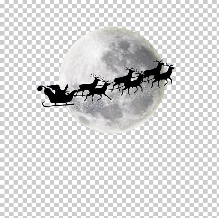 Santa Claus's Reindeer Santa Claus's Reindeer Christmas Moon PNG, Clipart, Black And White, Blue Moon, Computer Wallpaper, Deer, Desktop Wallpaper Free PNG Download