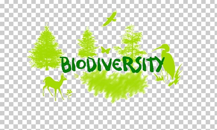 Biodiversity Loss Natural Environment Convention On Biological Diversity Science PNG, Clipart, Biodiversity Loss, Branch, Brand, Computer Wallpaper, Convention On Biological Diversity Free PNG Download