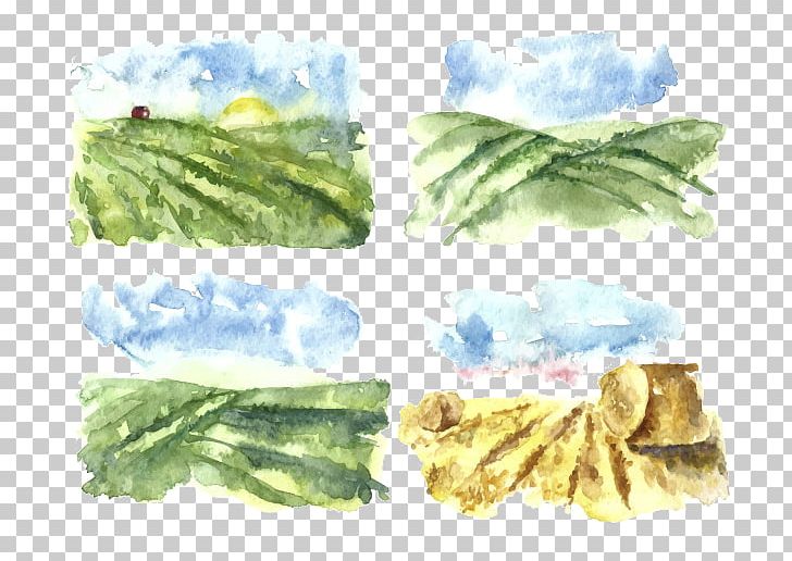 Watercolor Painting Illustration PNG, Clipart, Drawing, Euclidean Vector, Farm, Fields, Field Vector Free PNG Download