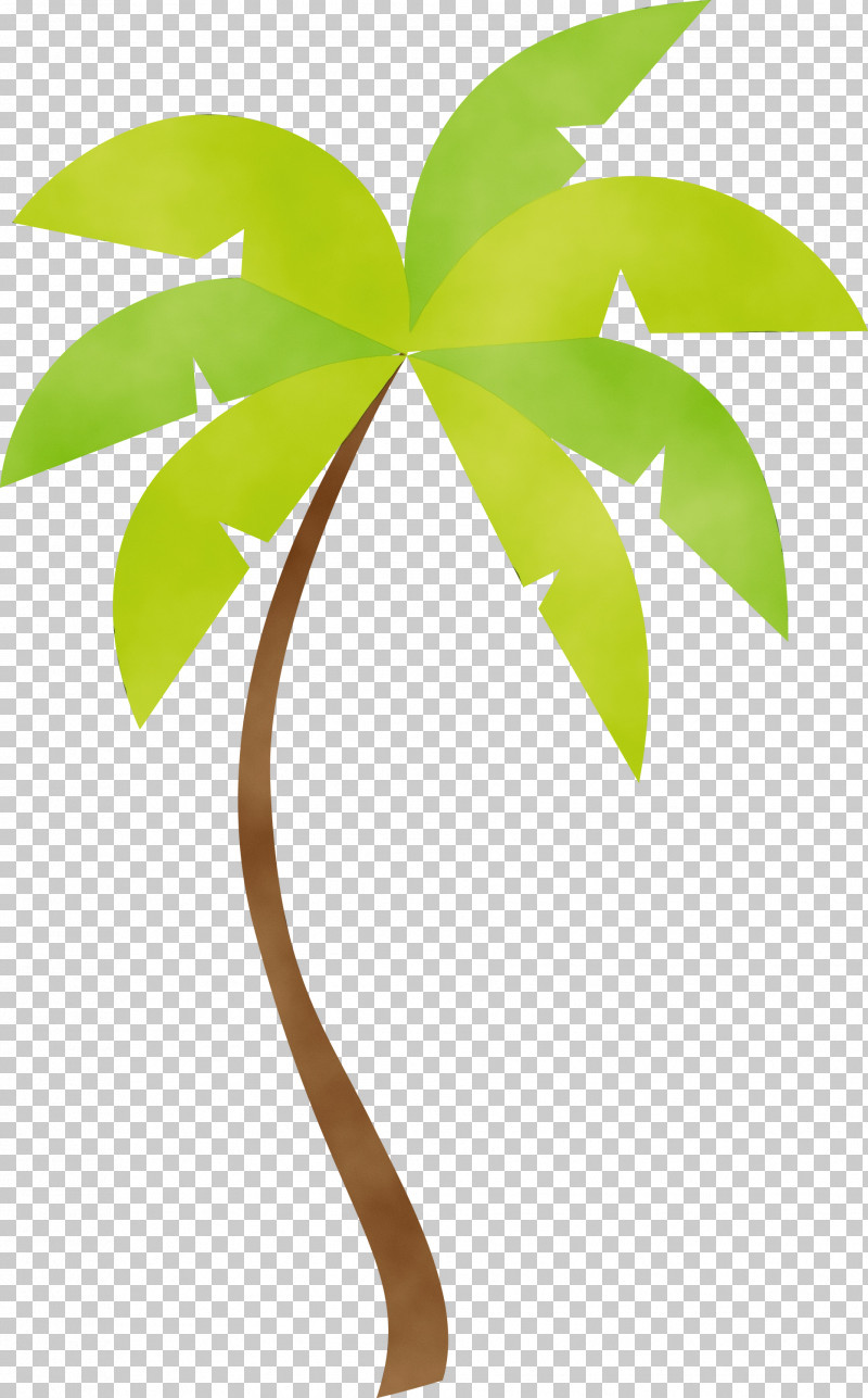 Palm Trees PNG, Clipart, Biology, Branch, Leaf, Line, Meter Free PNG Download