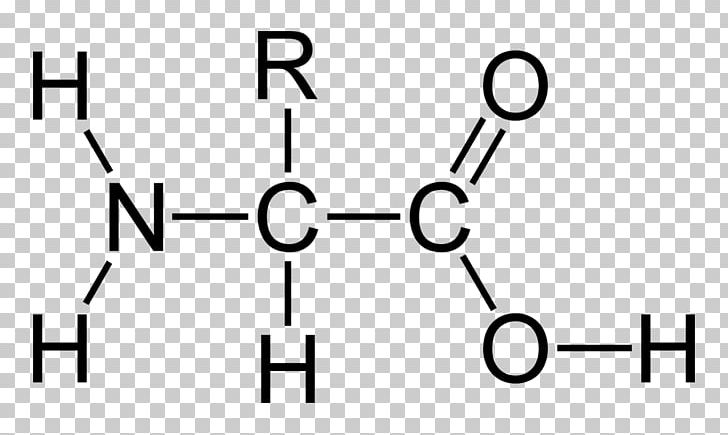 Acetic Acid Amino Acid Acid–base Reaction PNG, Clipart, Acetic Acid, Acid, Amino Acid, Angle, Area Free PNG Download