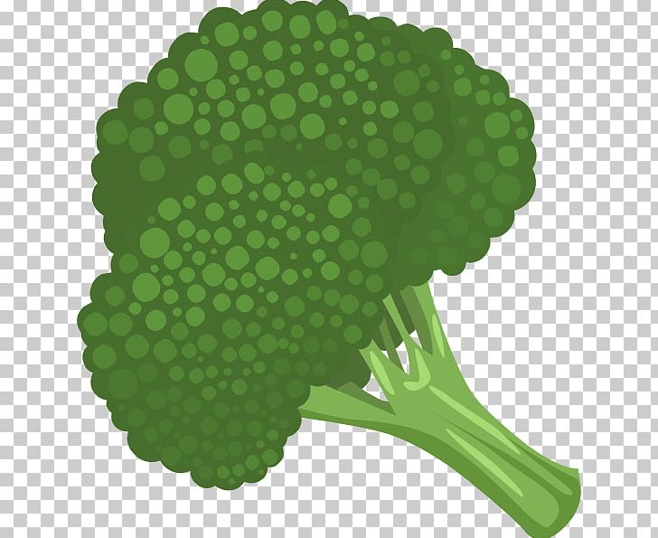 Broccoli Slaw Vegetable PNG, Clipart, Brassica Oleracea, Broccoli, Broccoli Slaw, Cabbage, Cartoon Celery Free PNG Download