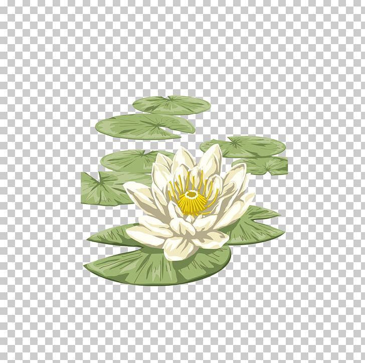 Lilium Graphic Design PNG, Clipart, Daisy, Designer, Download, Editing, Flower Free PNG Download