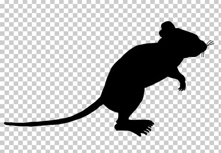 Rat Computer Mouse Silhouette PNG, Clipart, Animals, Bear, Black And White, Carnivoran, Cat Free PNG Download