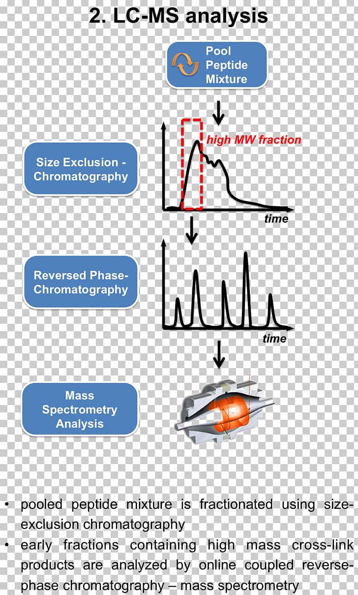 Zentrum Fuer Molekulare Biologie PNG, Clipart, Angle, Area, Chromatography, Crosslink, Immunoprecipitation Free PNG Download