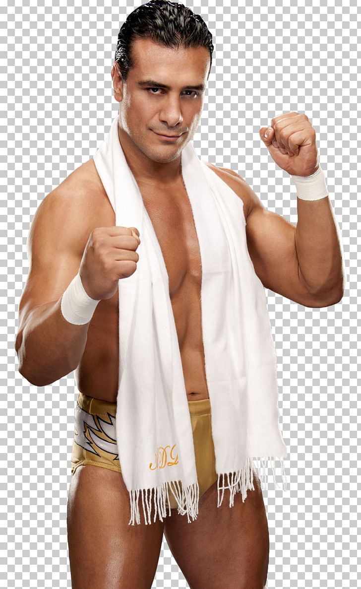 Alberto Del Rio WWE Raw WWE Championship WWE Hell In A Cell Professional Wrestling PNG, Clipart, Abdomen, Alberto Del Rio, Arm, Body Man, Brock Lesnar Free PNG Download