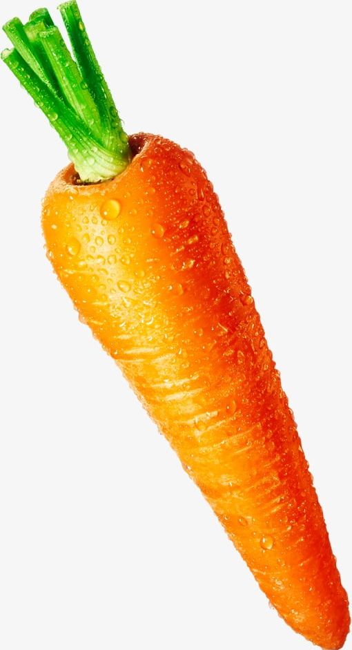 Carrot PNG, Clipart, Carrot, Carrot Clipart, Nutrition, Vegetables, Yellow Free PNG Download