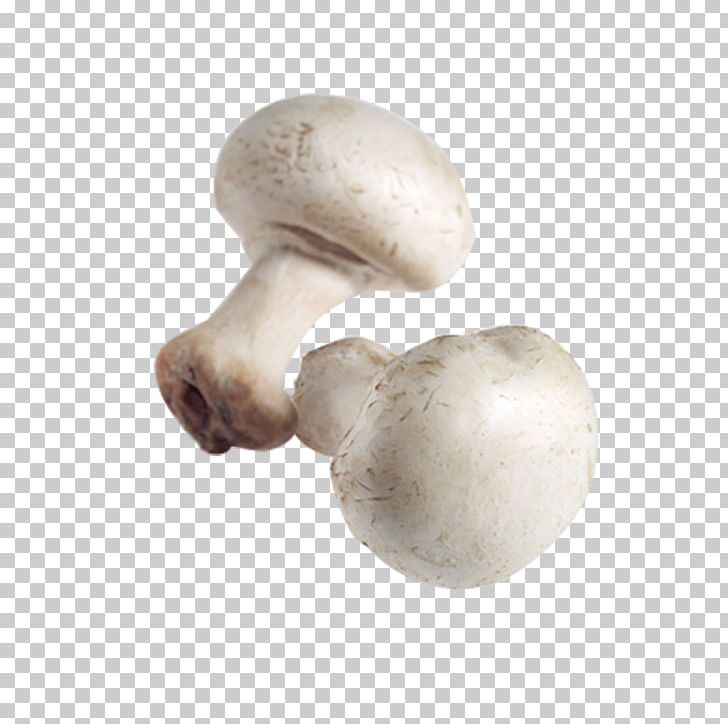 Common Mushroom Pleurotus Eryngii Agaricus Campestris Shiitake PNG, Clipart, Agaricaceae, Agaricomycetes, Agaricus, Background White, Black White Free PNG Download