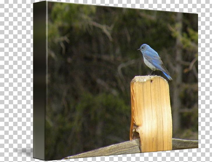 Fine Art Work Of Art Mountain Bluebird Digital Art PNG, Clipart, Art, Art Work, Beak, Bird, Bird Food Free PNG Download