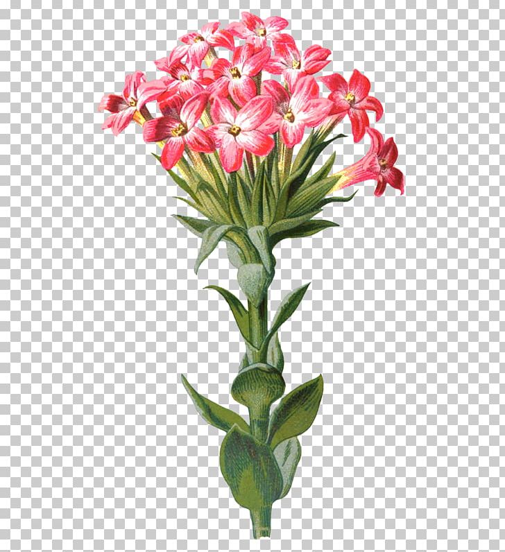 Floral Design Familiar Garden Flowers Nosegay Cut Flowers PNG, Clipart, Alstroemeriaceae, Antique, Cut Flowers, Familiar Garden Flowers, Floral Design Free PNG Download